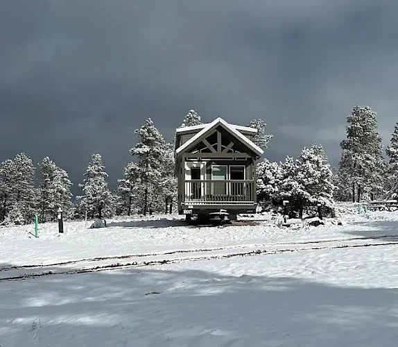 Cozy By The Forest 1b Williams